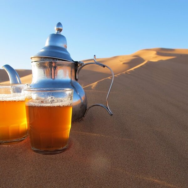 Shared Sahara Desert Tours